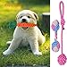 WB WEIRDBEAST Dog Toy Set Dog Rope Toys Rubber Balls Ropes Chew Squeaky Cotton Plush Pet Dog Teething Training Play Toys Flying Discs for Small Medium Dogs