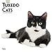 Tuxedo Cats 2019 12 x 12 Inch Monthly Square Wall Calendar, Animals Cats (Multilingual Edition) by