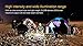 Fenix CL25R 350 lumen USB rechargeable camping lantern / work light (Black body) , 18650 rechargeable battery with Two back-up use EdisonBright CR123A Lithium Batteries