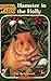 Hamster in the Holly (Animal Ark Series #35)