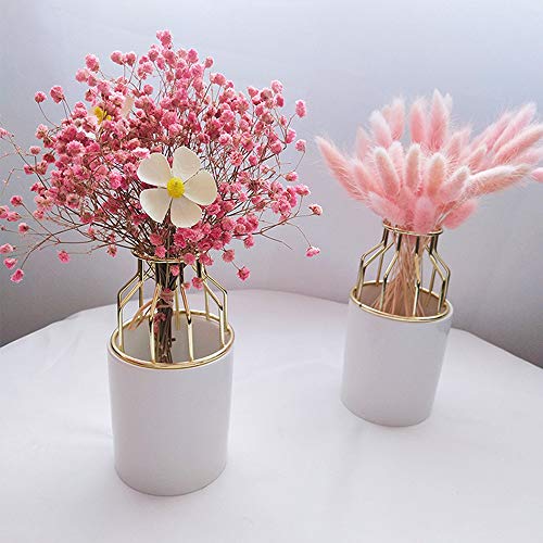 Beau Jour Natural Dried Lagurus ovatus 100 pcs, Flower Arrangements Wedding Home Decor (Pink)