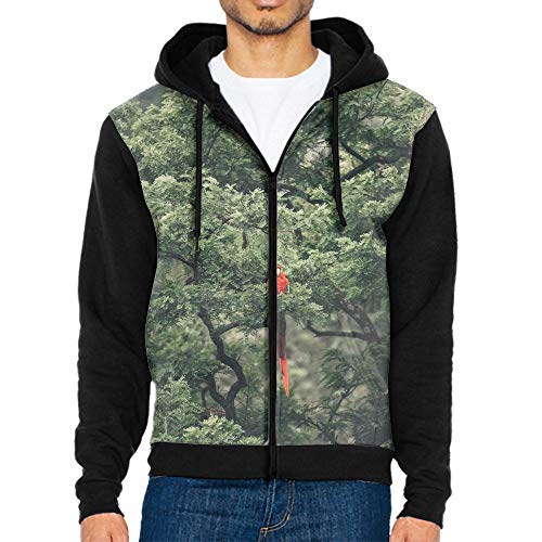 Macaw Parrot Bird Exotic Men Fashion Long Sleeve Casual Hooded Sweatshirt Zipper Top