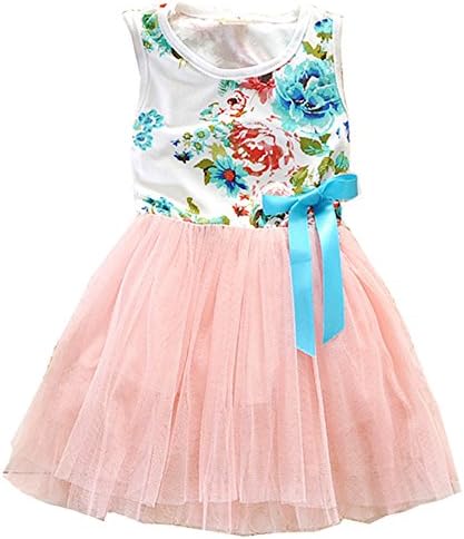 RJXDLT Little Girls Sleeveless Floral Princess Dress Lace Tulle Tutu Dresses Sundress 12 Months Pink