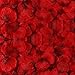 BESKIT 3000 Pieces Dark Red Silk Rose Petals Artificial Flower Petals for Valentine Day Wedding Flower Decoration primary