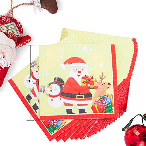 PartyFun Christmas Paper Plates Disposable Dinnerware Set Christmas Party Supplies Set Christmas Party Decoration Includes Paper Plates, Paper Cups, Napkins, Banner - Serves 24(Style 2)