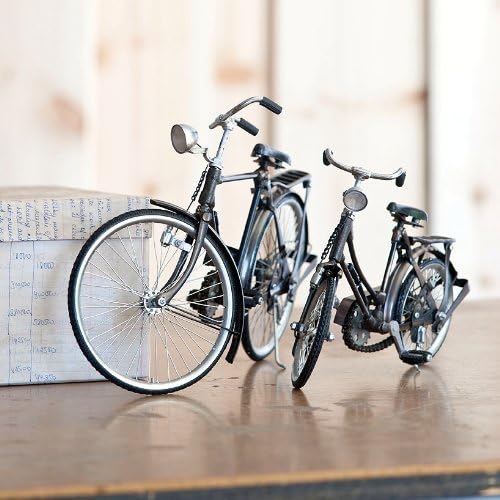 Miniature Bicycle - His
