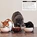 Holistic Select Natural Wet Grain Free Canned Cat Food, Turkey & Salmon Pâté Recipe, 13-Ounce Can (Pack Of 12)