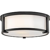 Hinkley Lowell Small Flush Mount, Black