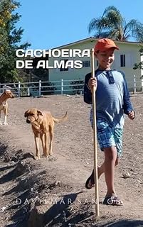 Livro Cachoeira de Almas: e outras histórias