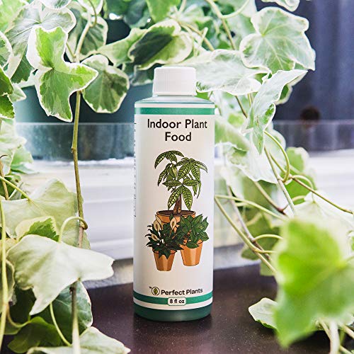 Perfect Plants Liquid Indoor Plant Food 8oz. of Concentrated All