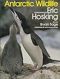 Antarctic Wildlife by