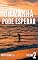 Livro O Amanhã Pode Esperar (Entretempos - Volume 2)