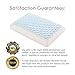 Polar Sleep Memory Foam Pillow for Sleeping,2-in-1 Ventilated Pillow for Neck Pain, for Back, Stomach, Side Sleepers,Hypoallergenic Antimicrobial Ergonomic Orthopedic Cooling Gel Pillow, CertiPUR-US …
