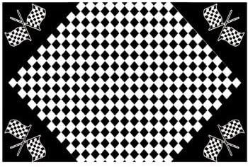 Outdoor Ground Mat for Picnics, RV, Beach, Camping (6x9 Feet), Checker