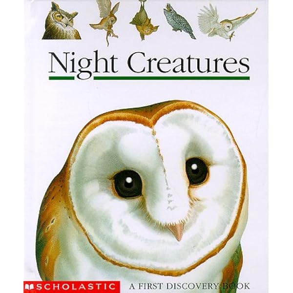 Usborne Beginners Nature 10 Books Box Set Collection (Reptiles