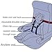 Child Safety Harness Airplane Travel Clip Strap.The Travel Harness Safety System Will Protect Your Child from Dangerous.Had Passed FAA Approved.