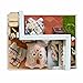 Flever Dollhouse Miniature DIY House Kit Creative Room with Furniture for Romantic Artwork Gift (Mary's Sweet Baking)