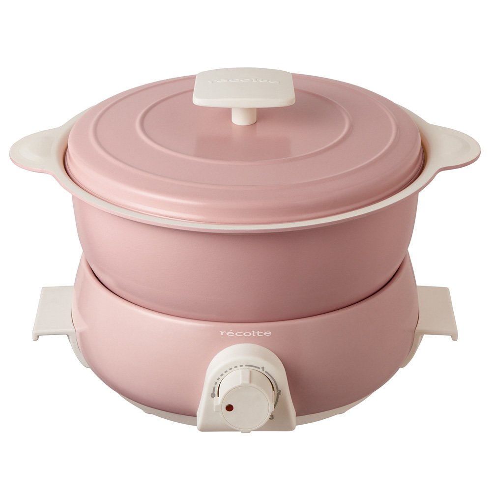 The 10 Best Recolte Food Processor