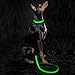 HIGO LED Dog Leash, USB Rechargeable Reflective Glowing Pet Leash, Reflective Light Up Dog Lead with Neoprene Padding Makes Your Pets Visible& Safe for Night Dog Walking (Green2, Led(47 inch))