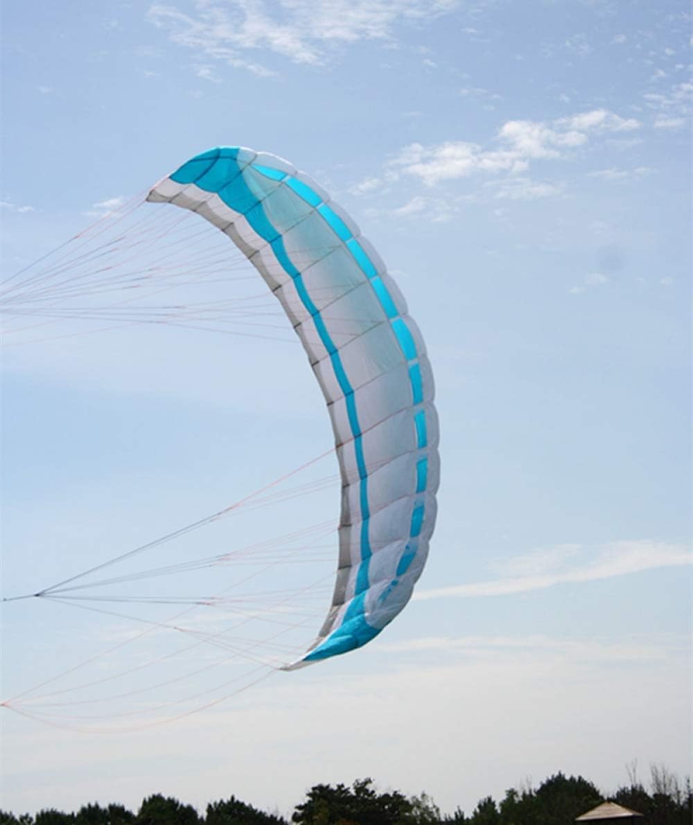 WANGCHAOLI Kite Large 3.5 Square Meters Quad line Power Kite parafoil Kitesurfing with Control bar Albatross Kite Factory