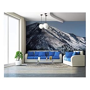 Snow Covered Mountain and Pine Tree Forest - Removable Wall Mural | Self-Adhesive Large Wallpaper - 66x96 inches