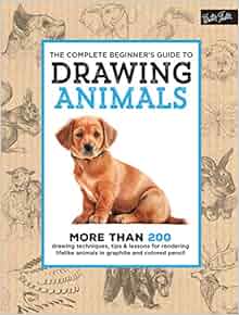 The Complete Beginner S Guide To Drawing Animals More
