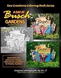 New Creations Coloring Book Series: A Day At Busch Gardens by Dr Teresa Davis, Brad Davis