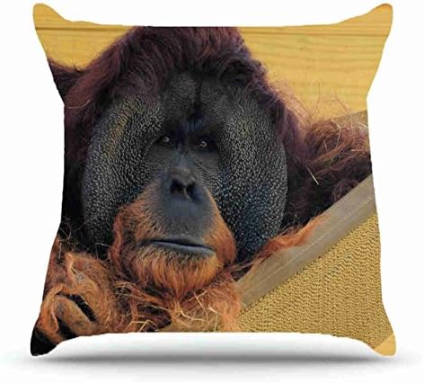 Square 18 X 18 Inches Cotton Pillowcases Decorative Pillow Cover Case with Hidden Zipper Decor Cushion Covers - Animals hammock wall s wool orangutan straw for outdoor