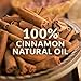 SenseLAB Cinnamon Essential - 100% Pure Extract Cinnamon Oil Therapeutic Grade - Outdoor Protection - Diffuse to Uplift Mood and Ease Tension (10 ml)