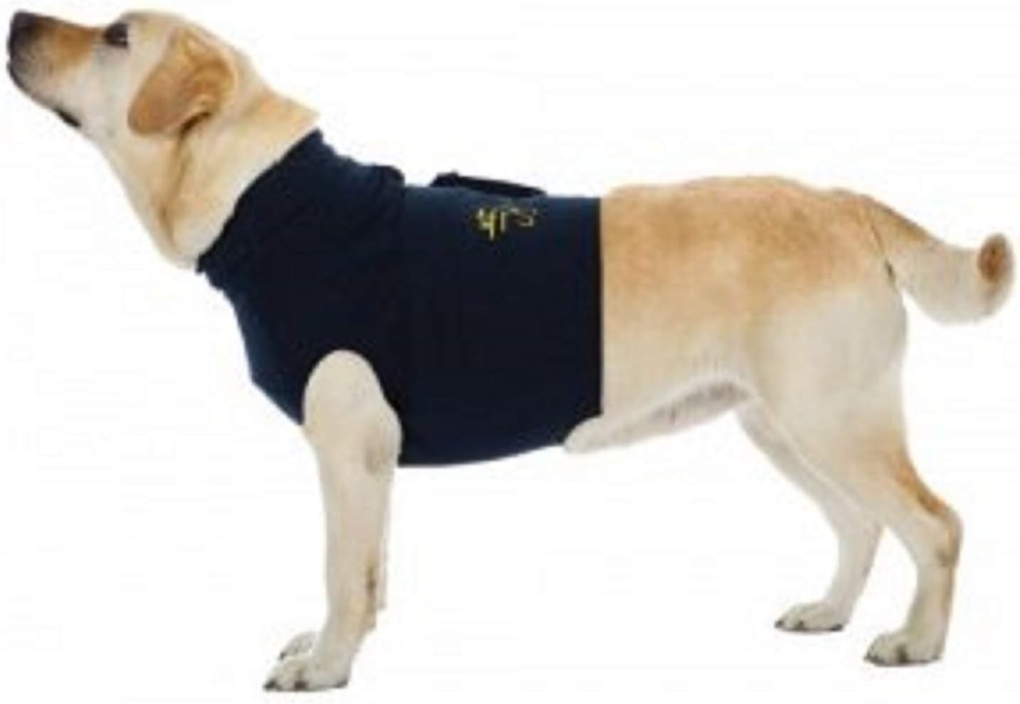 Buster Body Sleeve For Dogs, Front Legs, Size Small