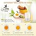 Egg Cooker, HoLife Stainless Steel Egg Boiler Steamer with Auto Shut off, 7 Egg Capacity for Soft, Medium, Hard Boiled Eggs, Omelettes-Silver