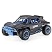 AHAHOO RC Cars 1/18 Remote Control Vehicle 4WD High Speed 15.5MPH+ 2.4Ghz Radio Controlled Off Road Rock Climber Fast Electric Desert Monster Trucks