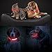LED Pet Dog Collar, MAXIN Led USB Rechargeable Pet Safety Collar Waterproof Light up Length 50cm (19.5in ) Adjustable Flashing Collar( RED )