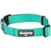 Blueberry Pet Essentials X-Small Dog Collar in Emerald | Adjustable & Eco-Friendly Durable Nylon Strap | Classic Collar for X-Small Dogs, Boy & Girl Pets