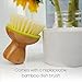 Full Circle Bubble Up - Bamboo Dish Brush – Ergonomic Palm Scrubber with Handle for Kitchen Cleaning, Green, Pack of 1