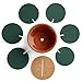 Drhob Flee 6-Piece Green Coaster Set with Flower Pot Shaped Holder for Drinks,Coffee,Cup