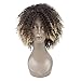 LMY Short Afro Kinky Curly Synthetic Wigs For Black Women Ombre Blonde Color Natural Hair Wigs With Bangs Cosplay Hair Cut (ombre blonde)