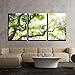 wall26 Canvas Print Wall Art Set Sunlight Shines Over Green Tree Canopy Nature Wilderness Photography Realism Rustic Scenic Colorful Multicolor for Living Room, Bedroom, Office - 24