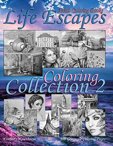 Adult Coloring Books Life Escapes Coloring Collection 2: Life Escapes 2nd Annual Huge Variety Grayscale Coloring Book with 100 Pages. Big value…big book…big variety of coloring themes