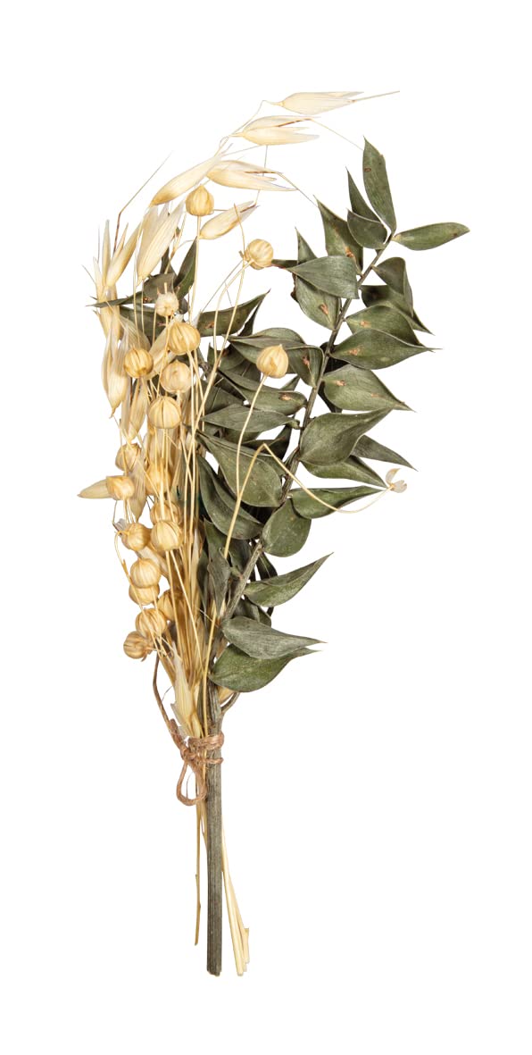 Rayher Dried Flowers and Plants for Crafts, Dried Flower Bouquet for Crafting and Home Décor, Dried Natural Flowers with Stem, pine green, 18-20cm, 85491430