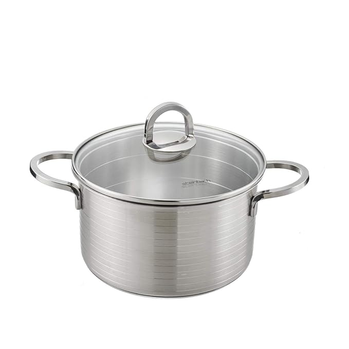 Steinbach Fleischtopf Letunio | Topf | Induktion | Edelstahl rostfrei | Glasdeckel mit Dampfabzugsöffnung| Kochtopf (Ø 16 cm)