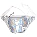 Silver Iridescent Fanny Pack