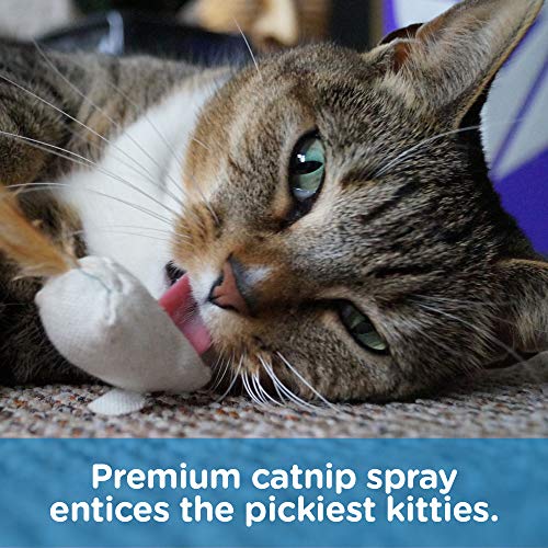 Pet MasterMind I Love Catnip 4oz Liquid Catnip Spray - All Natural New Extra Potent Formula! - Made from 100% Canadian Grown Catnip!