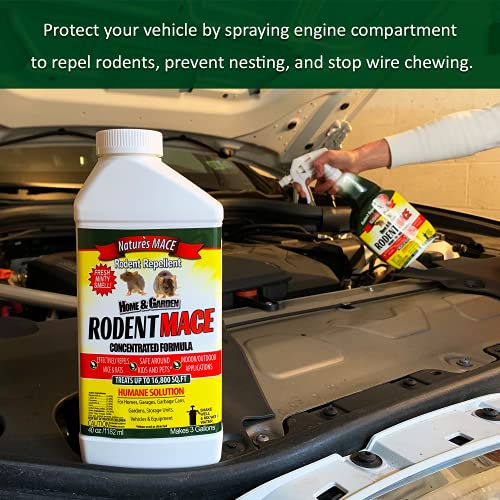 Nature’s MACE Rodent Repellent 40oz Concentrate / Covers 16,800 Sq. Ft