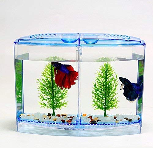 taiyo fish tank