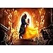 Photography Backdrops 7x5ft Gold Palace Princess Backgrounds Rose Flowers Beauty and The Beast Backdrop Vinly Photobooth Pictures
