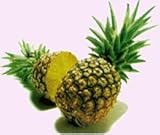 Faeries Finest Flavor Extract, Pineapple, 8 Ounce