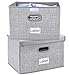 Foldable Storage Box with lids, Decorative drawers Bins Baskets with Sturdy Plastic Handles for Clothes, Closet, Bedroom, office, White with Printing 2 pack