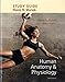 Study Guide for Human Anatomy & Physiology