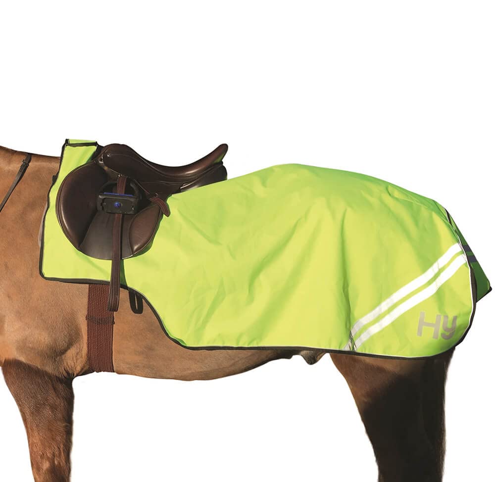 HyVIZ Reflector Exercise Sheet